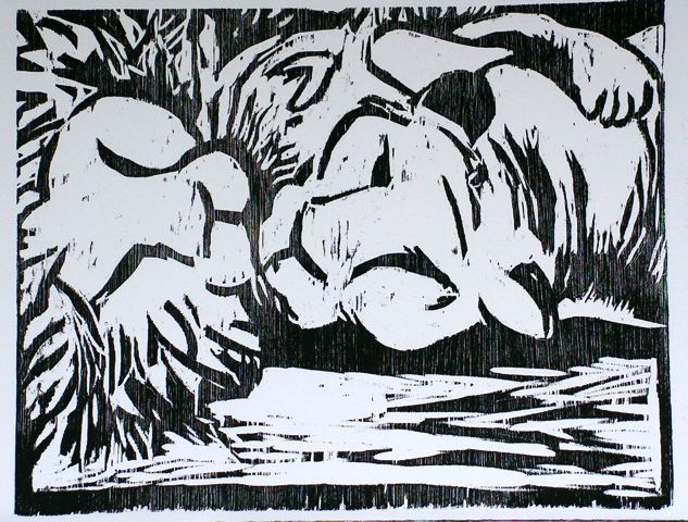 hout8.jpg